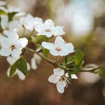 Ralph Marsh - @ralphmarshupu82400 - Instagram