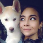 Ralph Marsh Mallow - @ralph_mallow - Instagram