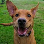 Ralph Marshall - @ralph.marshall.967 - Instagram