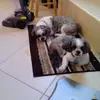 Ralph Richard McCabe - @ralph.richard.mcc - TikTok