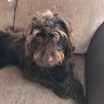 Ralph McCall - @ralphmccall123 - Instagram