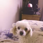 Ralph McIver - Facebook