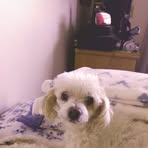 Ralph Mciver - Facebook