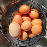 Ralph McLean - @ralphs.eggco - Instagram