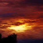 Ralph McNulty - @ralphmcnulty - Instagram