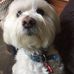 Ralph McNulty - Facebook