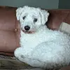 Ralph McNulty - @ralph.mcnulty - TikTok