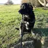 ralfmetzner0 - @ralfmetzner0 - TikTok