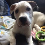 Ralph Morris - @ralphmorris9299 - Instagram