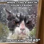 Ralph Morris - @mrm1066 - Instagram