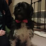 Ralph Morris - @ralph.morris3 - Instagram