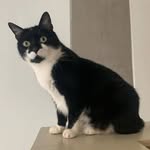 RALPH MORRIS - @ralph_morris4 - Instagram