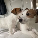 ralph&morris - @ralphochmorris - Instagram