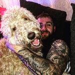 Ralph Thomson The Dug - @ralph_thomson_morrow_the_dug - Instagram
