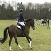 Ralph muller - @ralph22.muller2006 - TikTok