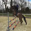 Ralph muller  - @ralphmuller2006 - TikTok