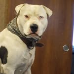 Ralph Navarrette - @big_chili_swangr - Instagram