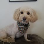 Ralph Newkirk - @ralph.newkirk.3 - Instagram