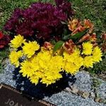 Ralph Newman - @newman3073 - Instagram