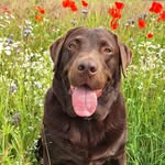 Ralph Teddy Newton - @teddy.newton - Instagram