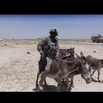 Ralph Nichols - @young_and_strong_ - Instagram