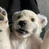 ._ralph_ - @._ralph_ - TikTok