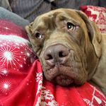 Ralph O’Connor - @ralphyoc2020 - Instagram