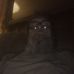 Ralph Oliphint - Facebook