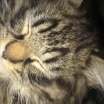 Ralph - @ralph_or_ralphy - Instagram