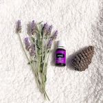 Ralph Pacheco - @ohana.essential.oils - Instagram