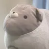 rralphpa - @rralphpa - TikTok