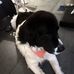 Ralf Petermann - Facebook