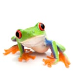 Ralph Petermann - Fatmandu Yoga - @fatmandu_yoga - Instagram
