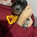 Ralph Pierce - Facebook
