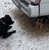 Ralph Polk - Facebook