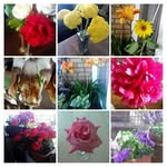 Ralph  Pollard - @pollardralph488 - Instagram