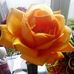 Ralph Pollard - Facebook