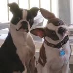 Ralph Potter - @ralphpotter67 - Instagram