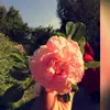 noor - @ralphpowerssummer - TikTok