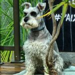 Ralph Pinheiro Rousselet - @ralph_pinheiro_prado - Instagram