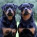 Ralf Purcell - Facebook