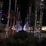 Ralph C Purcell - @ralphrefunds - Instagram