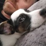 morgan - @ralphquicksilver - Instagram