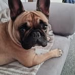 Ralph Ramsay - Facebook