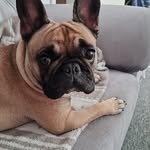 Ralph Ramsay - @ralph.ramsay.7 - Instagram