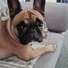 ralphramsay0 - @ralphramsay0 - TikTok