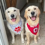 Ralphie & Rawlings - @ralphieandrawls - Instagram