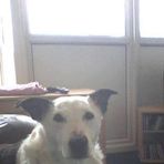 Ralph Rawson - Facebook