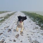 Ralph - @ralphredders - Instagram