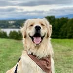 Ralph Whaler Risk - @redding_ralph - Instagram